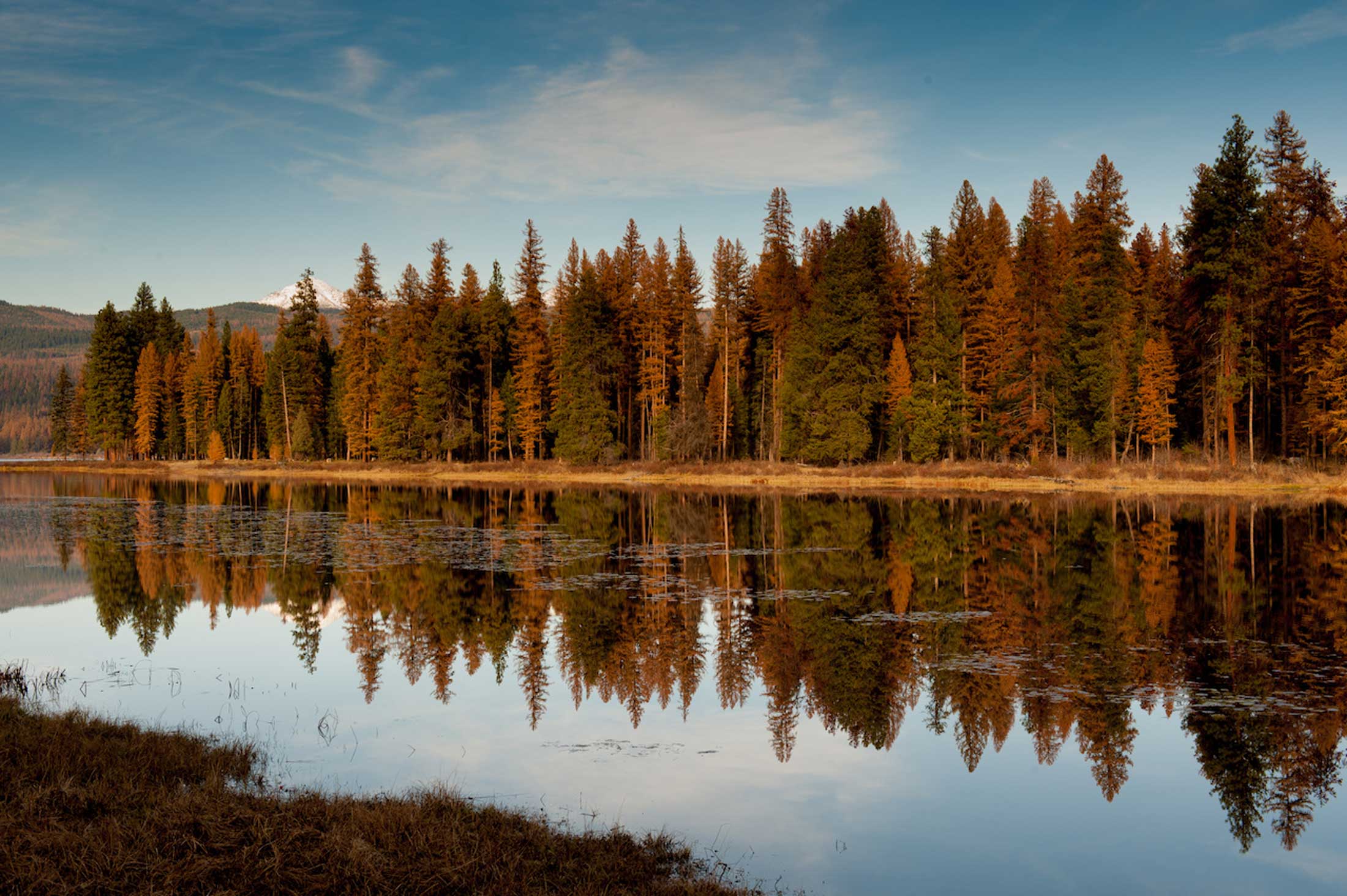 Western Montana