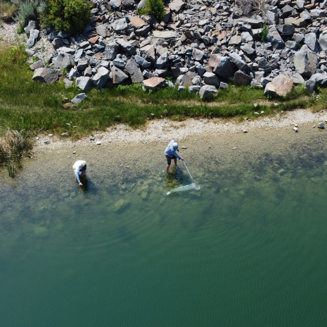 Flathead Waters Cleanup Logo